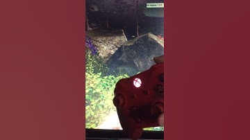 Mjolnir spawn code in ark