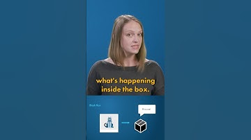 Black Box vs. Explainable AI