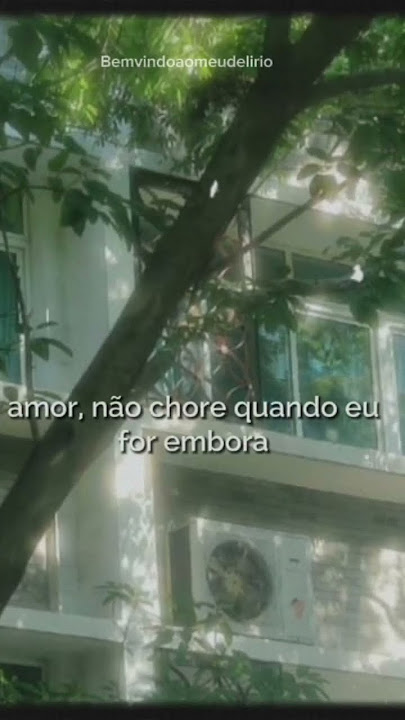 CUCO - Lo que siento #legenda #lyrics #music #aestheticsongs #music #cuco #loquesiento