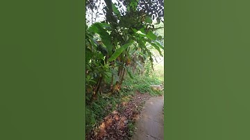 jalan Hegarmanah (3)