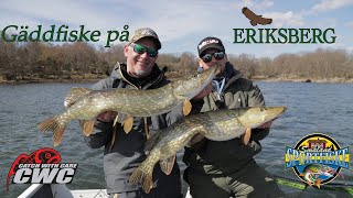 Trumman och Thomas fiska på Eriksberg efter fredningsperioden | Catch with Care | Småland Sportfiske