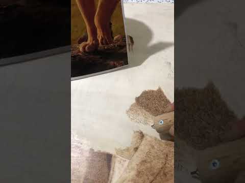 Gravür aslan çalışmama