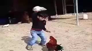 Anak Kecil VS Ayam Jago  [ Funny Moment ]