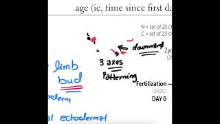 Important genes of embryogenesis - First Aid (STEP 1 USMLE)