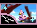 Live shiny ducklett after 2286 phenomena encounters unova shiny living dex 580