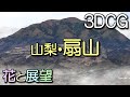 山梨・扇山。ツツジと桜と山野草。花と展望
