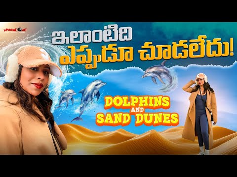 ఇలాంటిది ఎప్పుడూ చూడలేదు! | Dolphins & Sand Dunes | SYDNEY TRIP - DAY 2 | Whacked Out Media