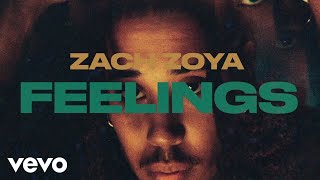 Watch Zach Zoya Feelings video