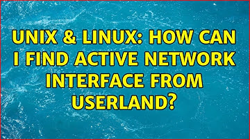 Unix & Linux: How can I find active network interface from userland?