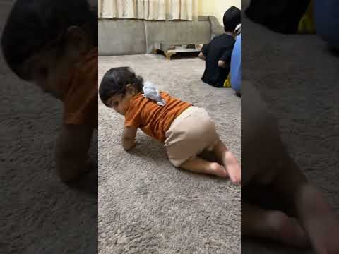 حمامه ياحمامه 