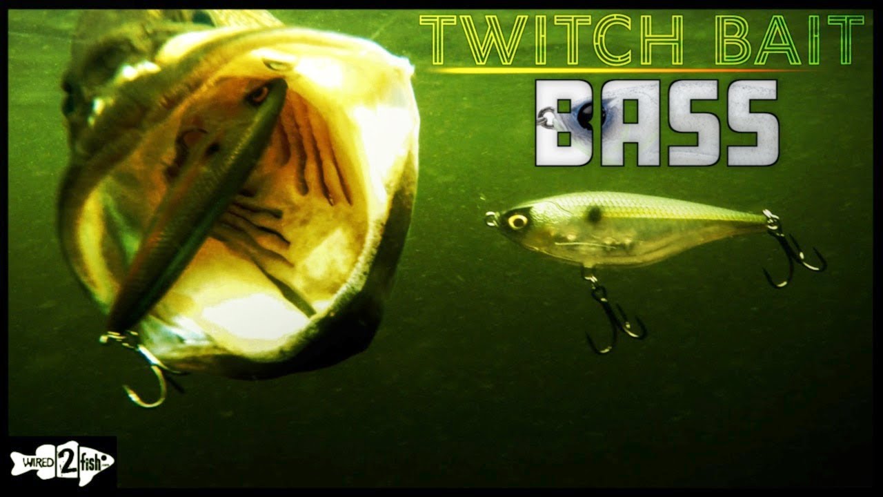 Twitch Baits for Bass: When and How to Fish 