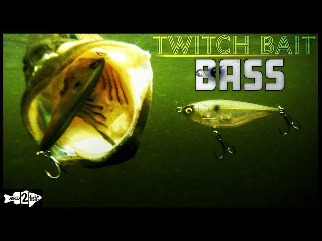 Twitch Baits for Bass: When and How to Fish 