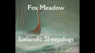 Fox Meadow Icelandics  2012 Solstice litter by Jo-Ann Secondino 147 views 11 years ago 6 minutes, 3 seconds