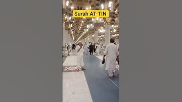 People's Prayer In Masjid Nabawi Vlog With SURAH AT-TIN سورة التین #egzonibrahimi #surahattin #quran