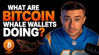 Bitcoin Whale Wallets Are Buying —Here's What That Means