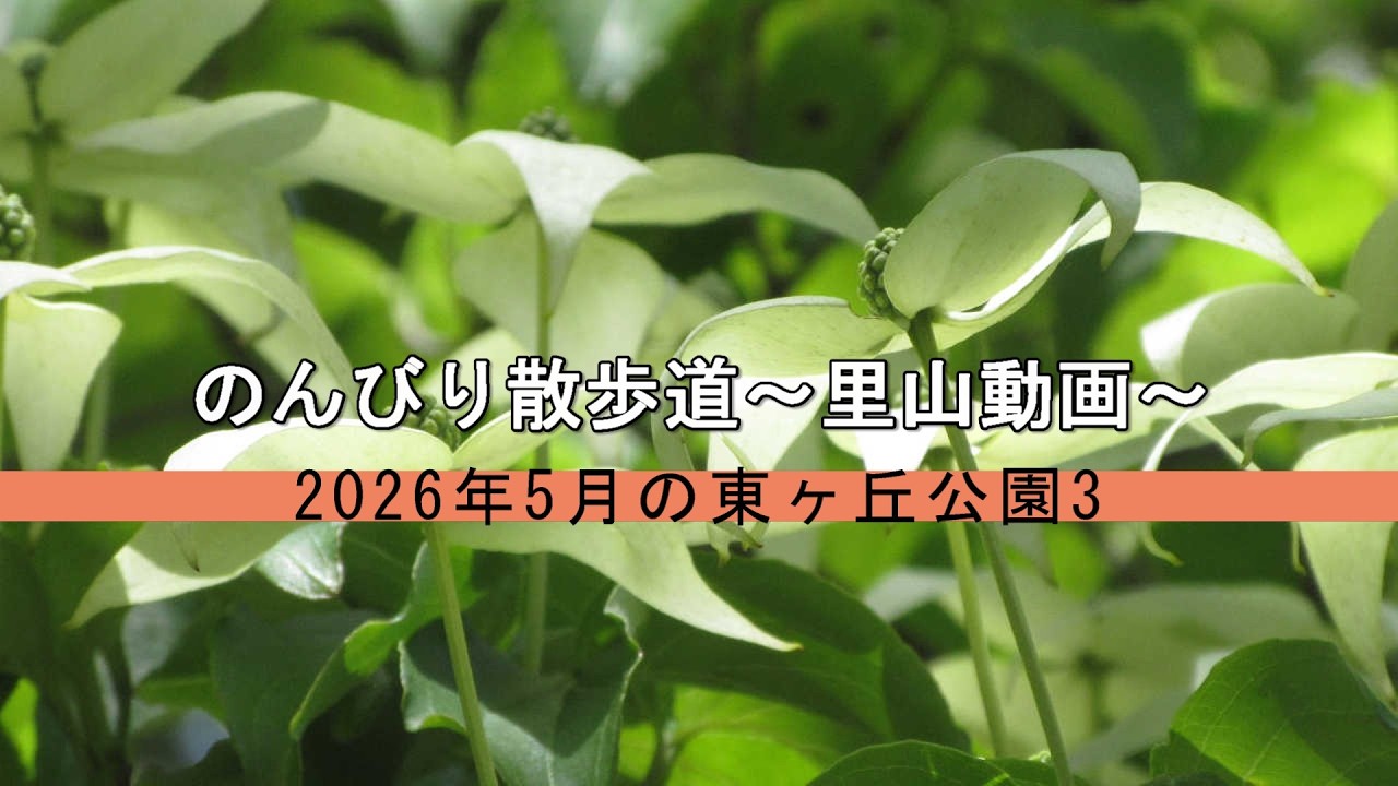 のんびり散歩道～里山動画～ 2026年5月の東ヶ丘公園3 - YouTube