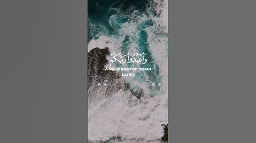 سورة الحج -  اية 77 { يَا أَيُّهَا الَّذِينَ آمَنُوا ارْكَعُوا وَاسْجُدُوا} الشيخ عبد الرحمن مسعد