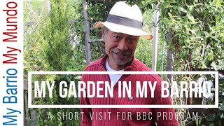 Garden Tour May 2020 - my  garden clip submitted to BBC's Gardeners' World