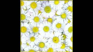 Daisy - Intro