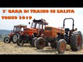 3' Gara di traino in salita - Tonco 2019