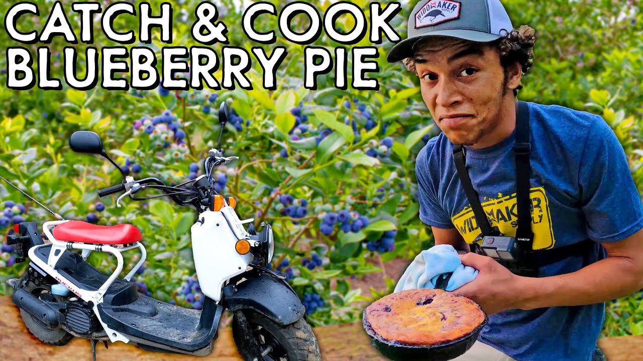 High Bush Maine Blueberry Pie Catch & Cook