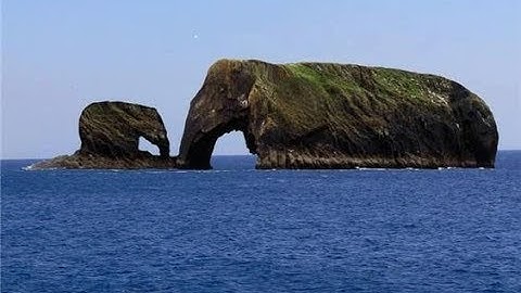 Mudfossil Basics - What is Mud Fossil??