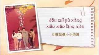 [OST] (Pinyin) 昔有琉璃瓦 Memory of Encaustic Tile (青葱岁月 The Green Years - 宁桓宇/赵贝尔)