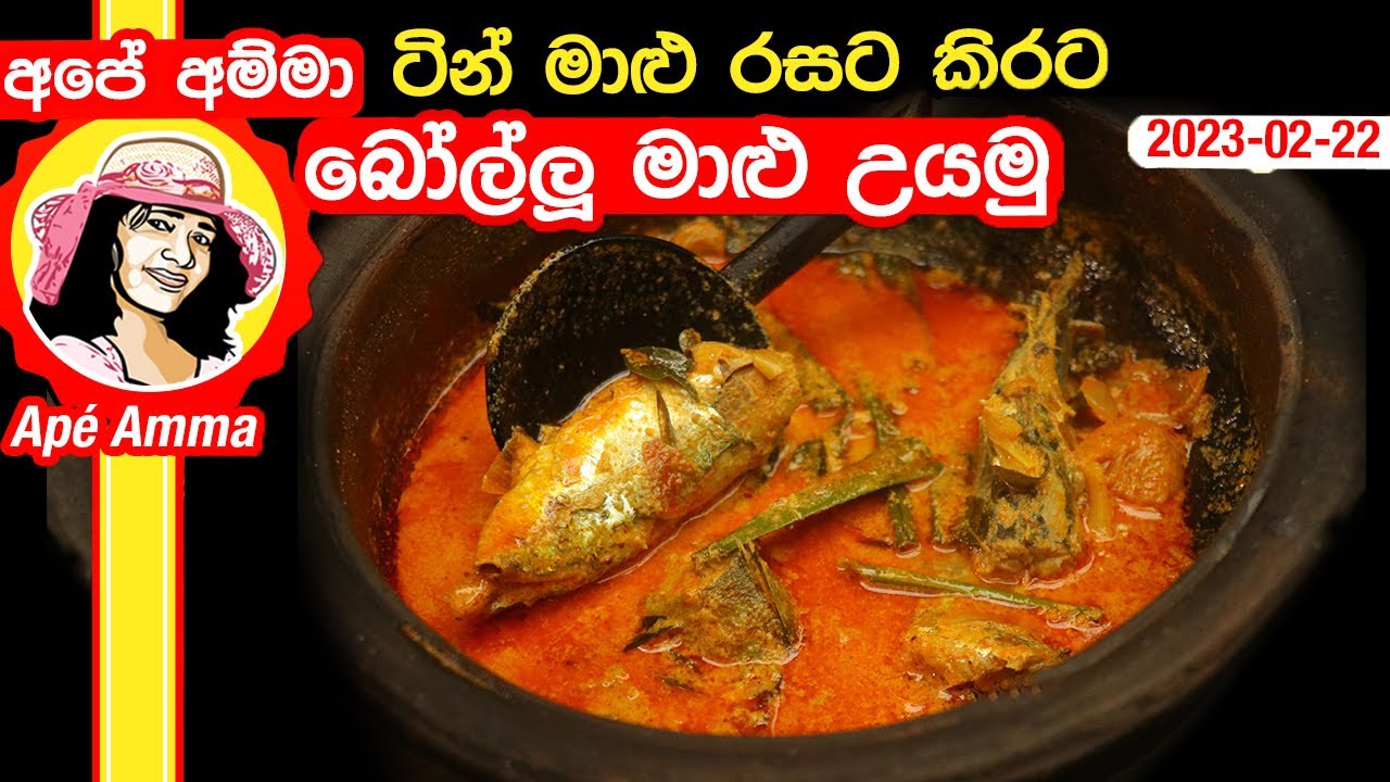 ටින් මාළු රසට සැරට බෝල්ලු මාළු උයමු Tasty fish curry (Tin fish style