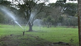 Dica irrigação de pastagem