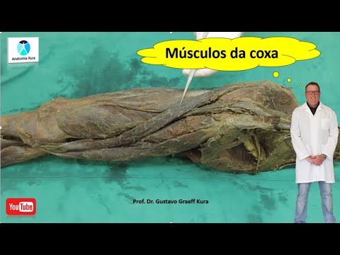 Vídeo: Anatomia, Diagrama E Imagens Da Coxa - Mapas Do Corpo