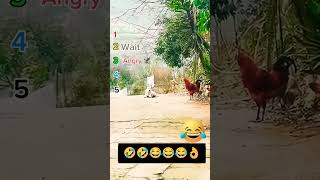 Wait For It… These Fails Are Unreal 😂#shorts