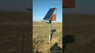 электропастух  на солнечных батареях.