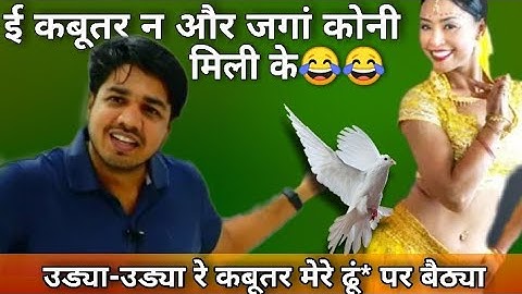 उड्या-उड्या रे कबूतर 😂😂 | Subhas Charan Funny Video | सुभाष चारण सर
