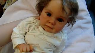 Reborn Doll Collection an Update! #reborn #dollcollection