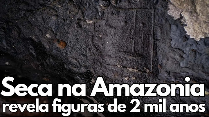 Seca na Amazônia revela figura rupestres de 2.000 anos!