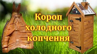 Короп холодного КОПЧЕННЯ в коптильні 