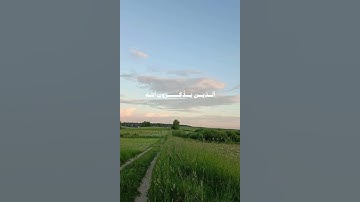 عمر بن ضياء الدين | سورة آل عمران #القرآن_الكريم #تلاوة_هادئة #اكسبلور #لايك #استغفروا