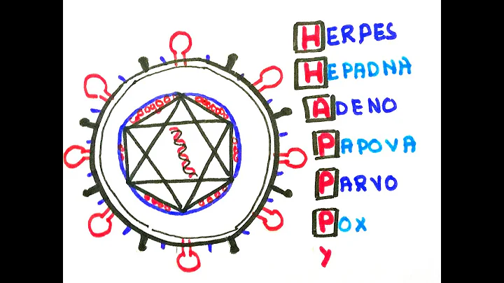 Easy ways to remember DNA viruses( in less than 60 seconds) - DayDayNews