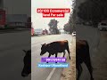 commercial land for sale Kashipur Uttarakhand #uttarakhand #kashipur