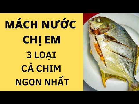 Cá Chim Đen Sống Ở Đâu - 🐟🐦MÁCH NƯỚC CHỊ EM 3 LOẠI CÁ CHIM NGON NHẤT 🐟🐦