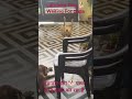 Labrador Dog# लेब्राडोर डॉग पापा का इंतजार कर रहा है #Dogs Life # Dogscare#Doglover# Labrador fight#