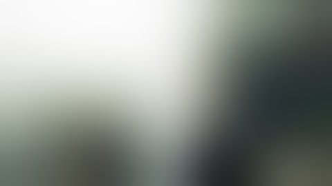 NieR Automata 2B and S9 Self Destruct