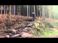 Cannock Chase Rock Drop
