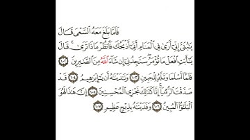 سورة الصافات 14 القسم الرابع عشر تكرار كيفي من .. فلما بلغ مع السعي .. إلى ..  وفديناه بذبح عظيم