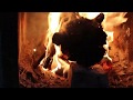 [불멍] ASMR 장작불, 모닥불, 불면증, 수면용 | Fire Sounds, wood fire, relax, sleep