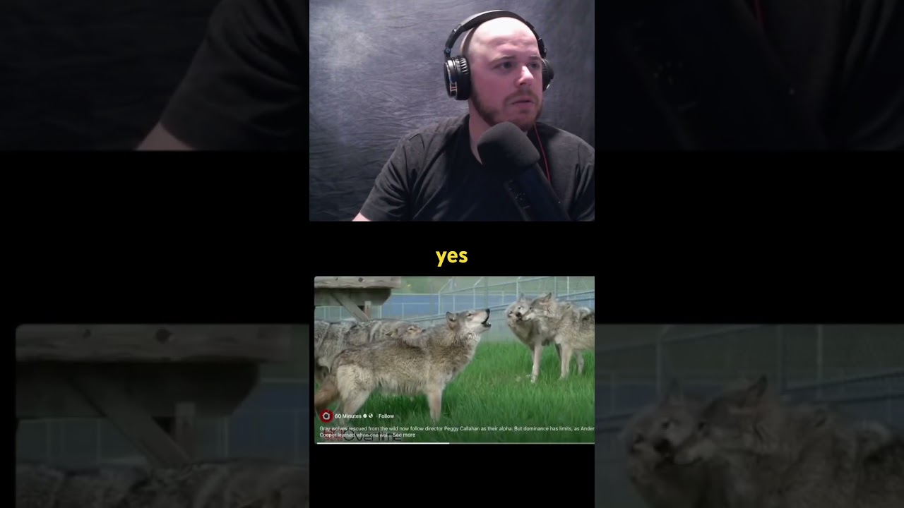 Yes
