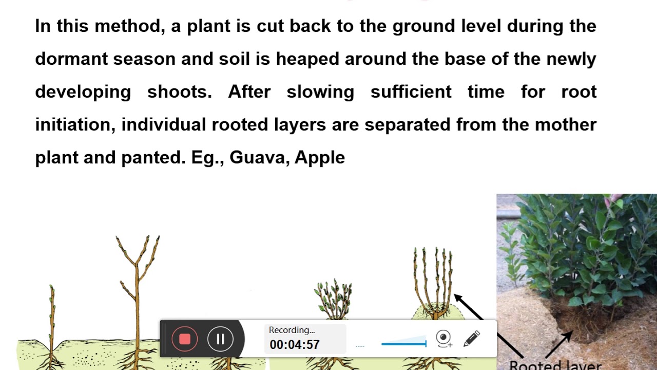 Propagation by Layering Methods by Prof. A. C. Jadhav - YouTube