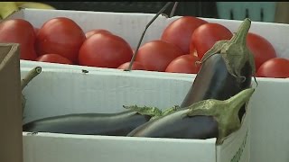 Youngstown subscription service brings fresh produce to your table