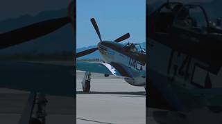P-51 Mustang war hero bird #aviation #p51mustang #wwii #usaf #planespotting