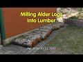 Milling Alder Logs Into Lumber